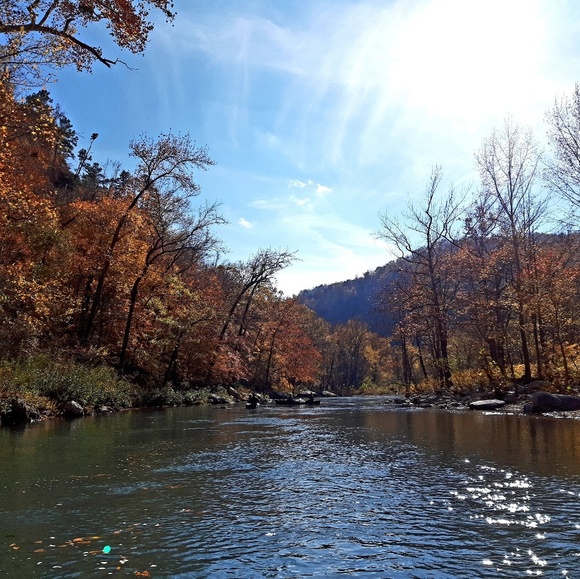 Meet your Posher, Logan - Picture 3 of 4